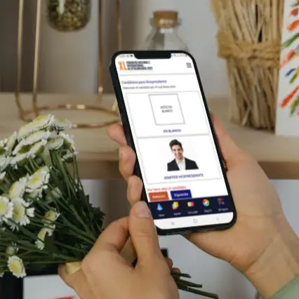 plataforma de asambleas y votaciones - webgrid bmotik