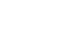 merz logo bmotik