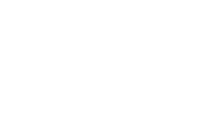 mit logo bmotik
